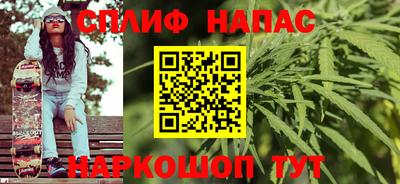 гашик Нальчик