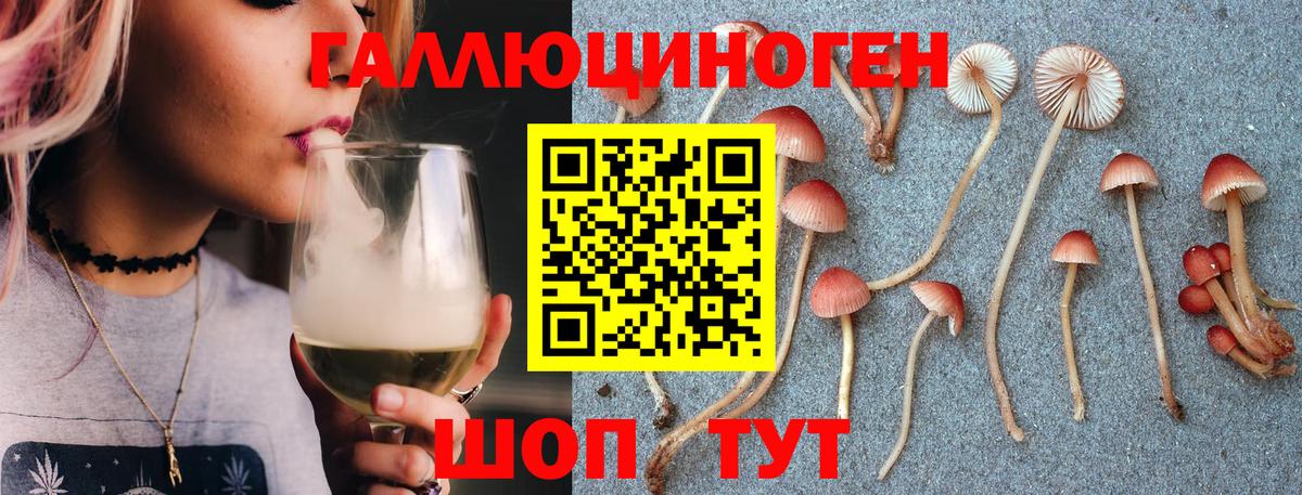 Галлюциногенные грибы Cubensis  Вход с VPN  где найти   Галлюциногенные грибы мицелий  Тверь 