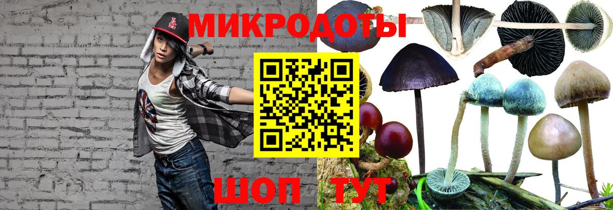 Псилоцибиновые грибы мухоморы Тверь